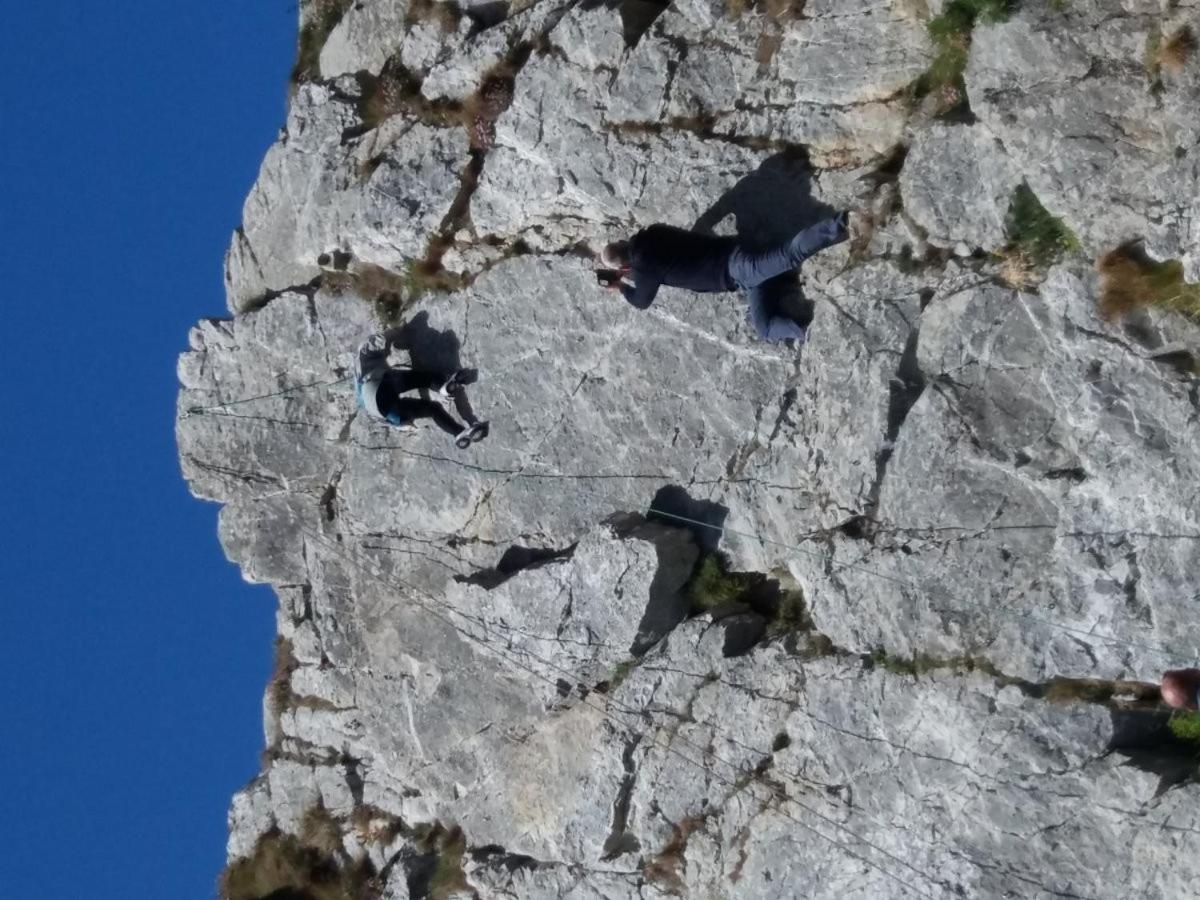 Le Petit Nid Dans La Roulotte